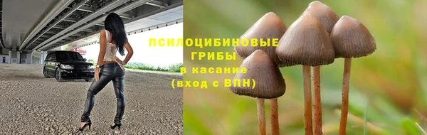 кокаин колумбия Алексин