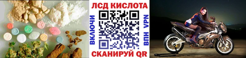 блэк спрут ONION  Чаплыгин  ЛСД экстази кислота 