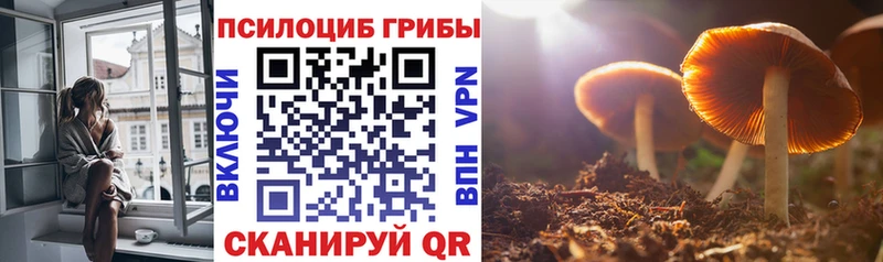 Галлюциногенные грибы прущие грибы  дарнет шоп  Чаплыгин 